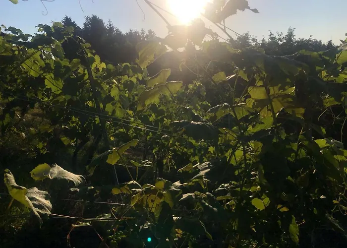 Winzerhaeuschen Kern