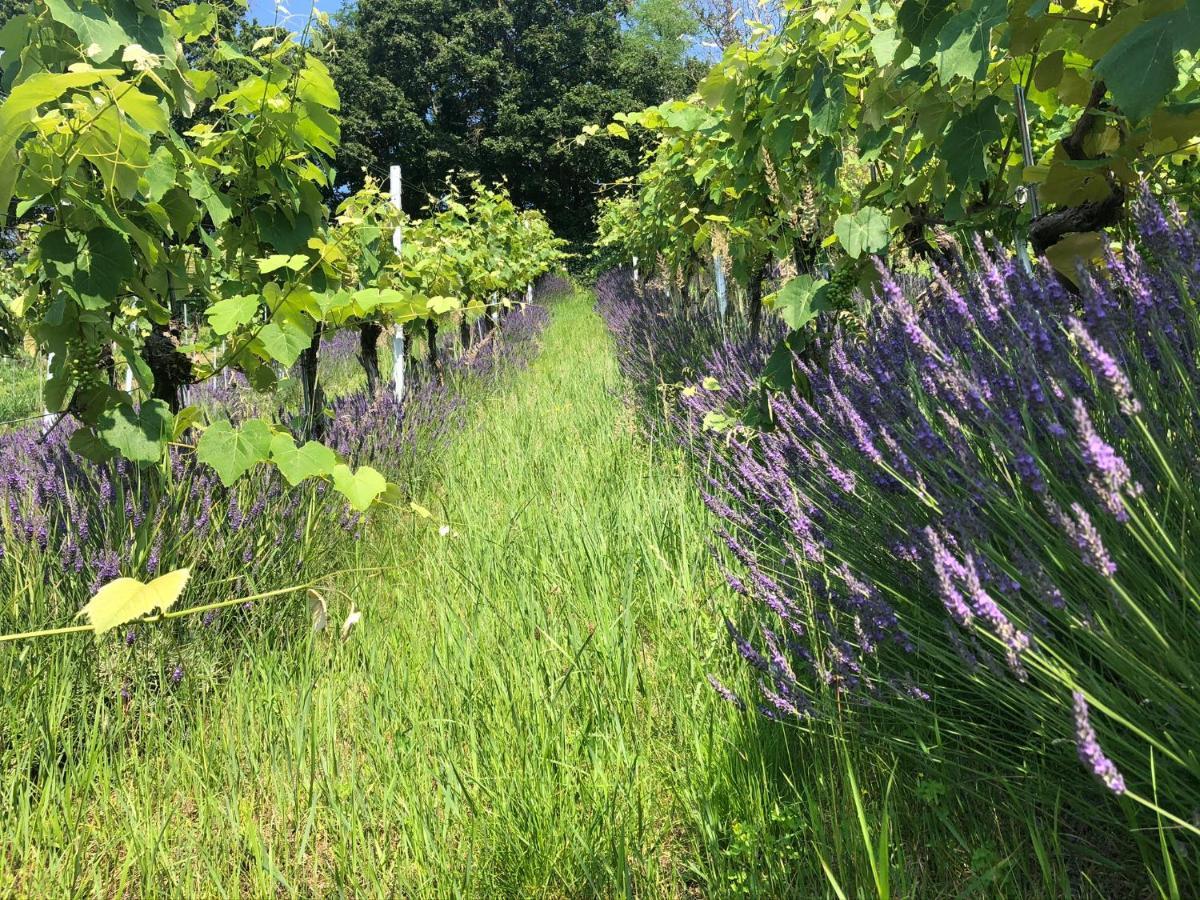 Winzerhaeuschen Kern Fehring